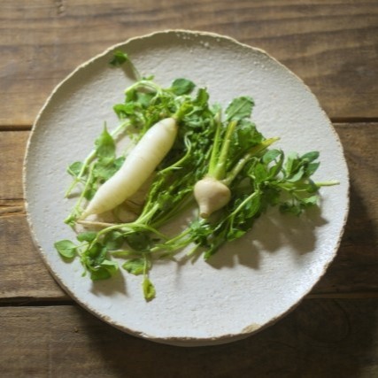 えひめ未来農業協同組合