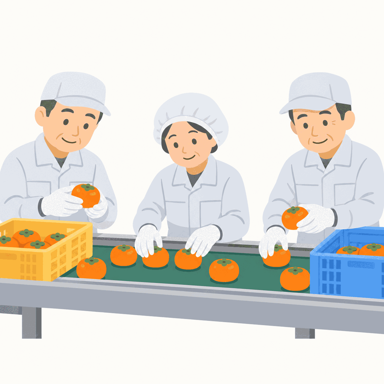 JA周桑　総合選果場